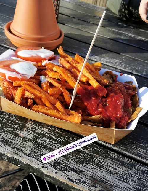 Sweet potato fries and vegan kebab at Jänö in Helsinki