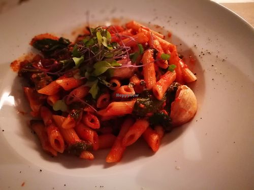 Main course: penne: spinach, sundried tomatoes, roasted garlic, omitted feta cheese, truffle oil
 at Freta 33 in Warsaw