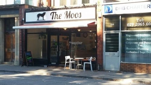 VIEW across street  at The Moos in Cardiff