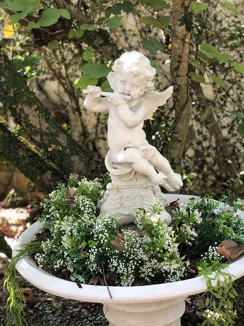 Outside in a garden at My Home Cafe & Vegetarian in Chiang Mai