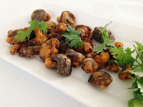 Deep fried Shiitake mushrooms at My Home Cafe & Vegetarian in Chiang Mai
