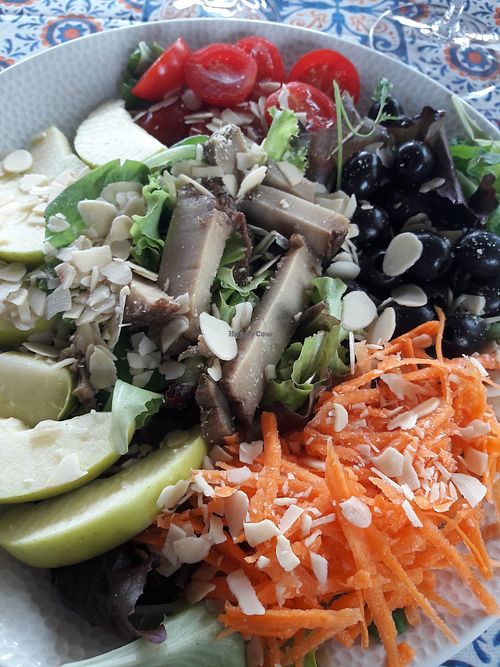 Insalata vegano is on the menu. It has seitan. at Desenzanino in Desenzano Del Garda