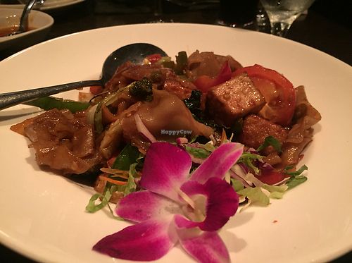 vegan drunken noodles so good! at Noi Thai in Seattle