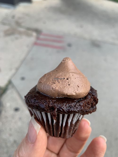 Salted choco mini cupcake  at Make Believe Bakery in Denver