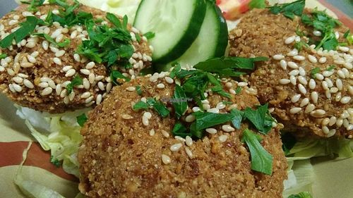 falafel at Syriana Shisha in Rzeszow