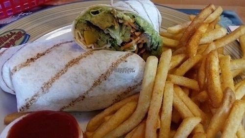 falafel wrap at Miss PeppeR in Luetzen