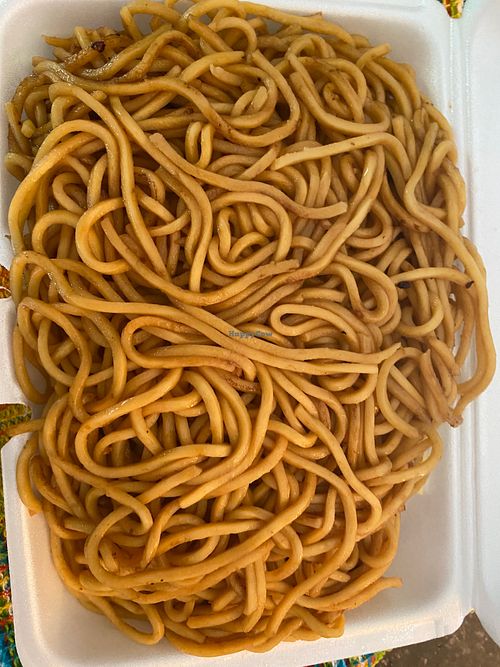 Large plain lo-mein. This is huge!!!  at Panda Chinese Restaurant in New Port Richey