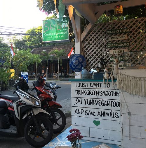 shiboo  at ShiBoo Organic Superfood Cafe in Kerobokan Kelod