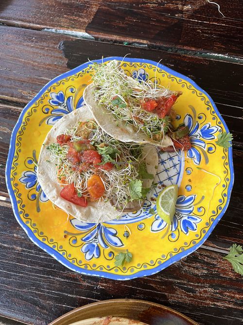 Vegemite tacos (vegan style)  at Gina's Cafe in St Michaels