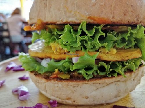 Tofu Burger at Capana in Koh Phangan