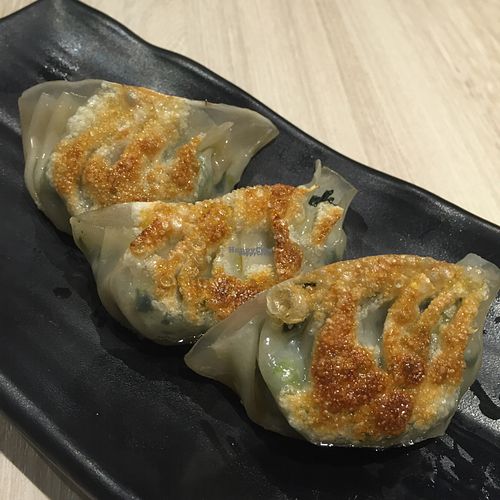 Pan-fried Vegetable and Mushroom Dumplings at The Veggie in Kowloon