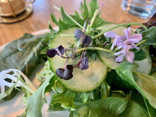   at Parlor City Vegan in Binghamton