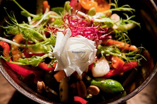 Du puy lentils with beetroot, goat cheese, and basil at Cafe Sage in Amsterdam