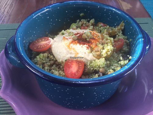 The protein salad bowl, very filling. at Sirena Morena in Cancun