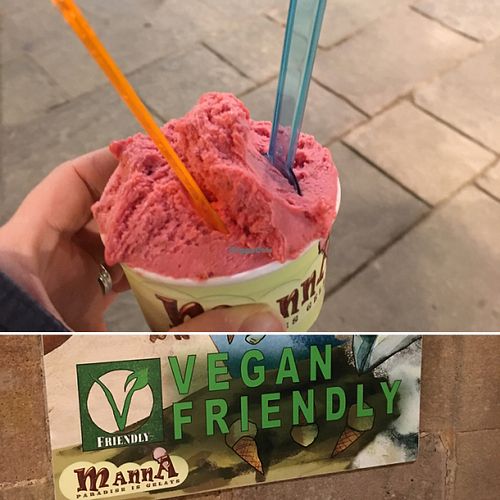 Vegan Raspberry at Manna Gelats in Barcelona