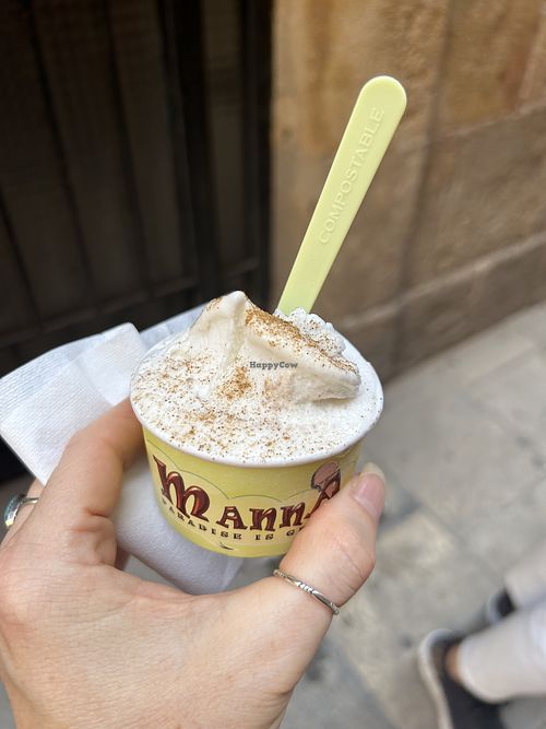 Rice milk with ginger and cinnamon   at Manna Gelats in Barcelona