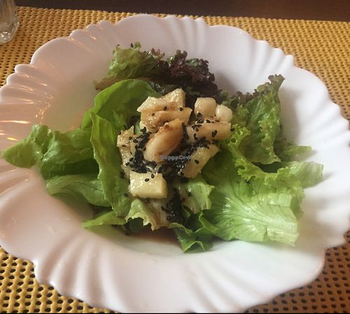 Salad at Goa in Sao Paulo