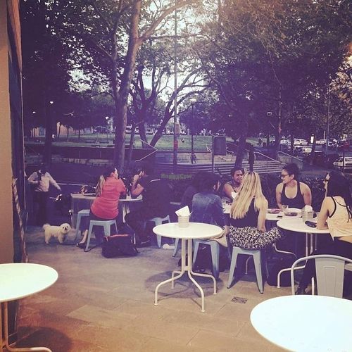 Courtyard overlooking the park at OM Vegan Kitchen in Surry Hills
