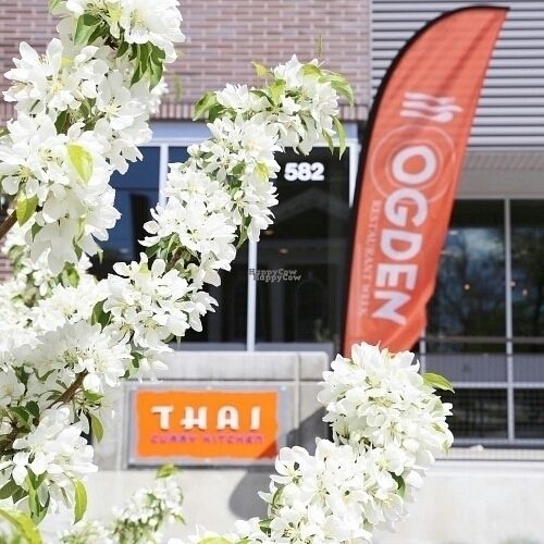 582 25th street at Thai Curry Kitchen in Ogden