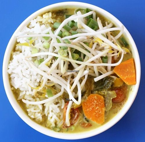 Vegetable Curry at Thai Curry Kitchen in Ogden