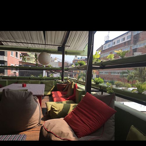 Lovely upstairs seating with organic veggies growing  at Sarangi Vegetarian Restaurant in Kathmandu