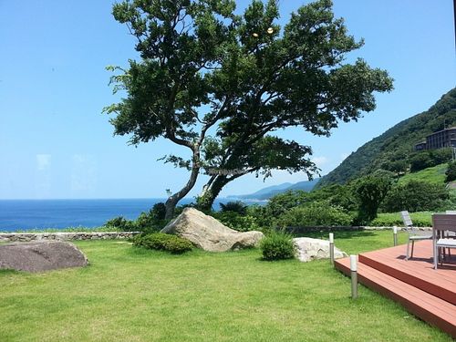 Window view from inside cafe at Cafe Earth in Fukui