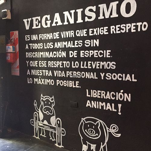 wall art at Rocket bar in Buenos Aires