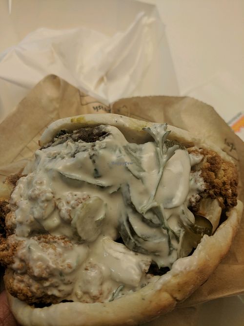 Cauliflower and falafel pita at Sabbaba in Sydney