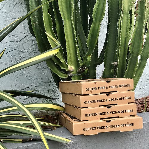  at Gourmet Pizza Company in Tampa