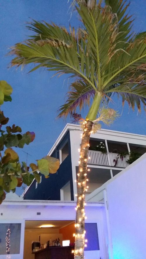 On the terrace.  at Vita Vegetarian Cuisine in Willemstad