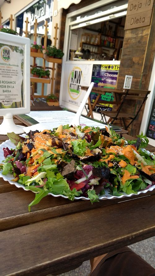 The Rawesome Asian salad at RawAttitude in Malaga
