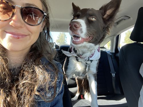   at Jewel's Bakery and Cafe in Phoenix