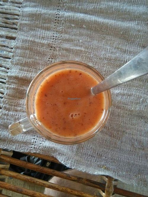 delicious curcuma and papaya smoothie  at Dharma Swasti in Kuilapalayam