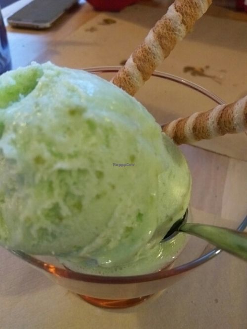 Sorbete de cactus at La Huella Vegana in Alcala De Henares