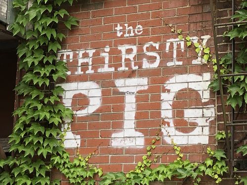 The sign. at The Thirsty Pig in Portland