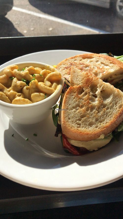 Mac n cheese at The Beer Plant in Austin