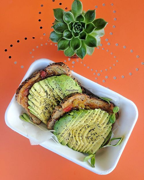 avo toast at Sublime Tree in Roswell