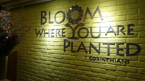 interior decor at Nature Cafe in Central Singapore