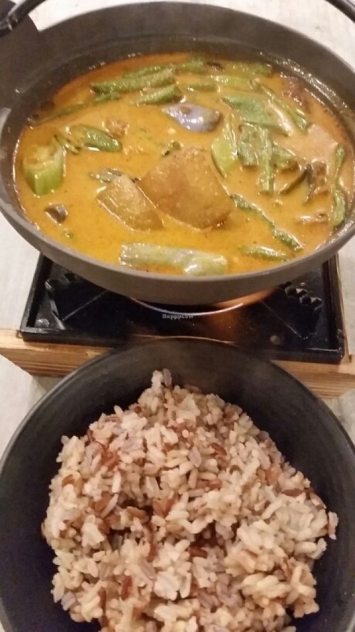 vegetables curry with brown rice at Nature Cafe in Central Singapore