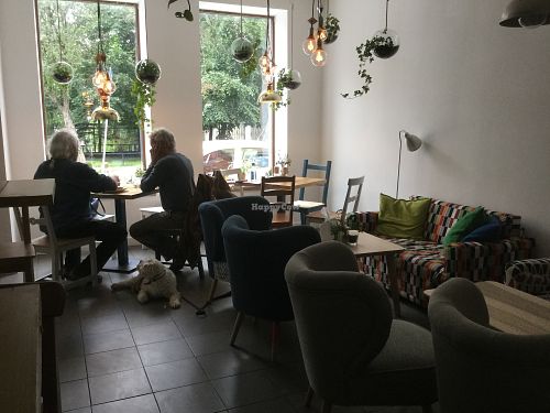 Lovely cafe room. Light and airy ☀️  at KsiazKAwiarnia Rezerwat in Nowy Targ