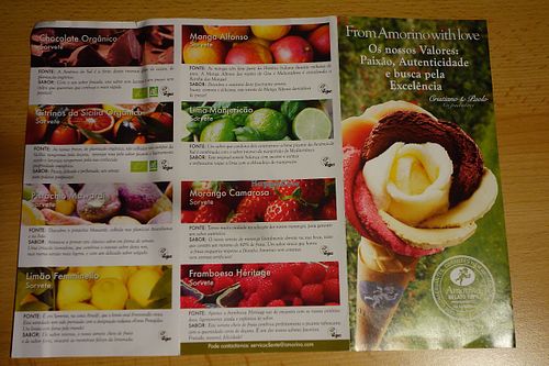 Vegan ice-cream at Amorino - Augusta in Lisbon