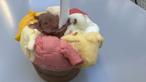 All vegan tastes in one big cupp  at Amorino - Augusta in Lisbon