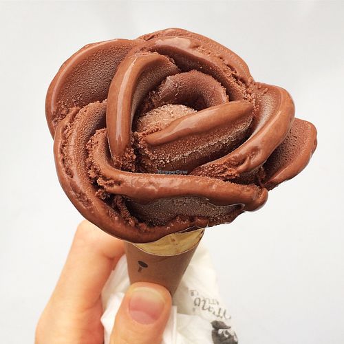 Chocolate sorbet at Amorino - Augusta in Lisbon