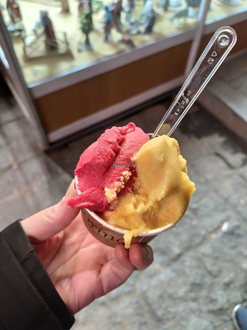 Raspberry and passion fruit at Amorino - Catedral in Sevilla