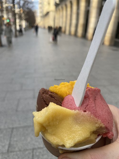   at Amorino - Independencia in Zaragoza