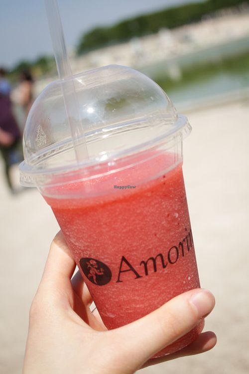 Strawberry sorbet drink. at Amorino - Vieille du Temple in Paris