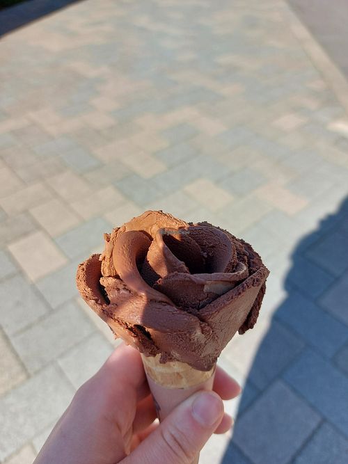  at Amorino in Soltau