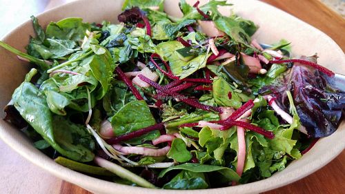 SOS free salad at Wild Living Foods in Los Angeles