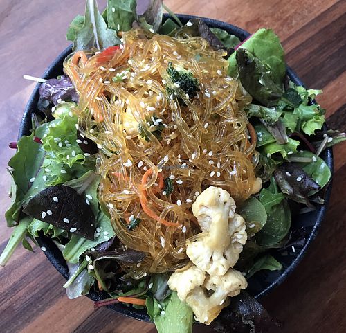 Shaolin Warm Bowl made as Salad   at Wild Living Foods in Los Angeles
