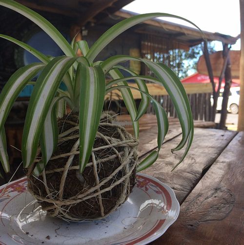 b at Casa Esquina in Isla De Pascua